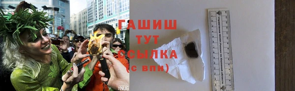 гидра Алексеевка